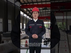 PVDF-verfgecoate aluminium spoel met chemische weerstand